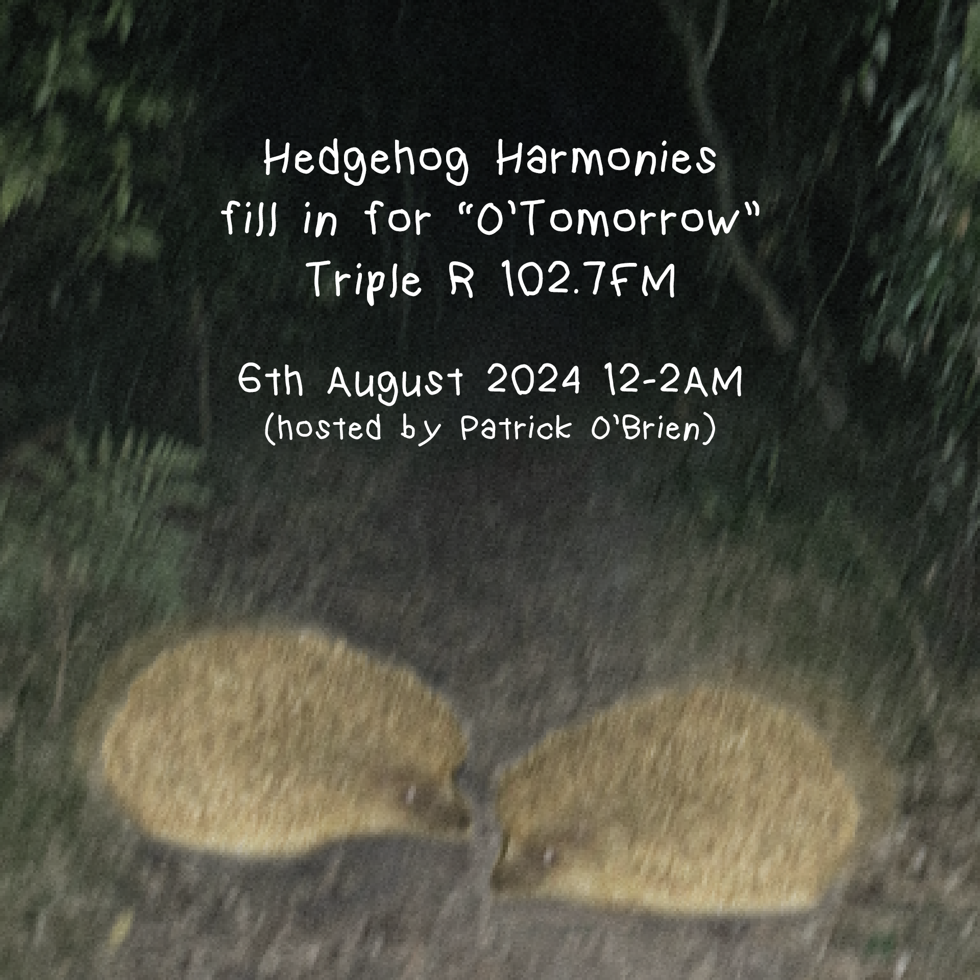 Audio Image